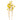 Oncidium Orchid Yellow