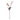 Pink Blush Poppy Stem