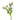 Pink Thistle Stem