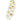 Phalaenopsis Orchid White