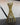 Set of gold metal straws