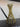 Set of gold metal straws