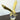 Golden Eagle