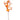 Oncidium Orchid Orange