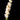 delphinium Stems blush pink