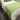 Green Throw Blanket
