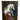 Dynamic Hourse Painting