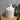 White Ribbed Ceramic Vase